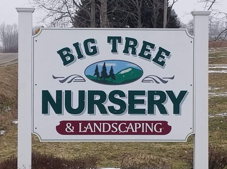 Big Tree Nursery and Landscaping